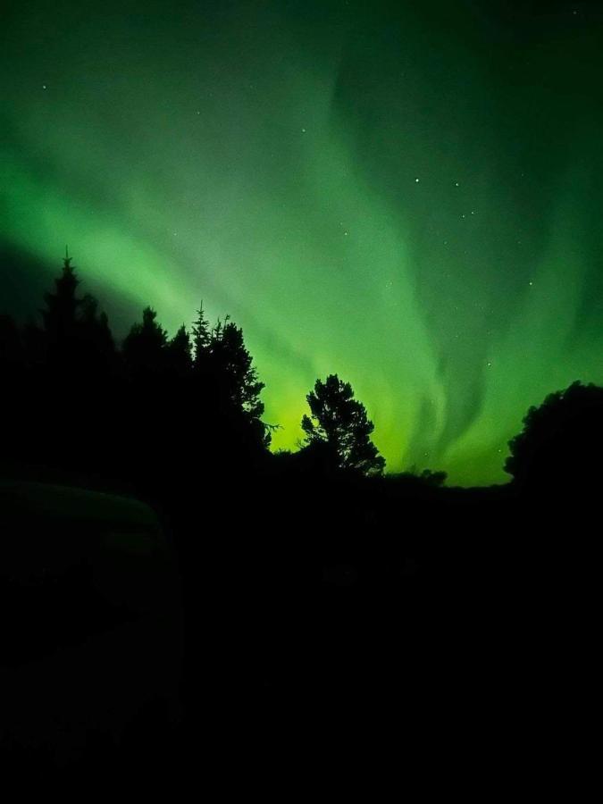 Ljosafoss Lake Guest House Selfoss Exterior foto